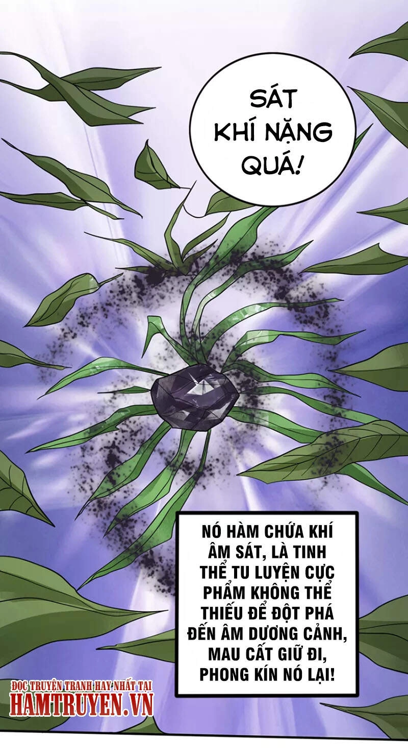 Siêu Cấp Thần Y Tại Đô Thị Chapter 229 - 17