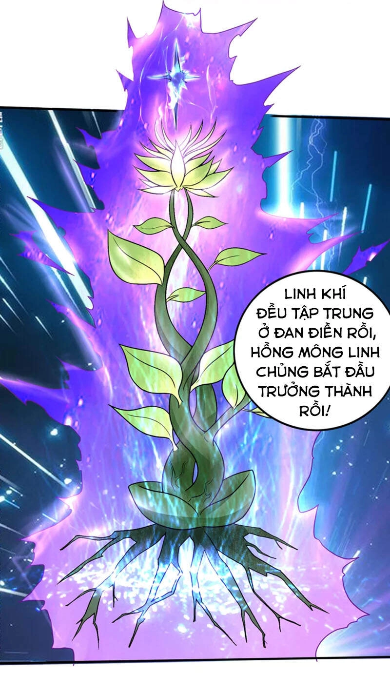 Siêu Cấp Thần Y Tại Đô Thị Chapter 231 - 2