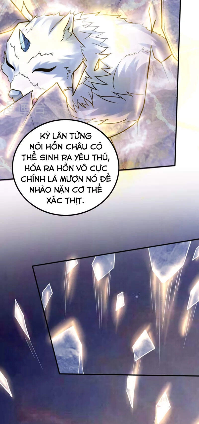 Siêu Cấp Thần Y Tại Đô Thị Chapter 232 - 4