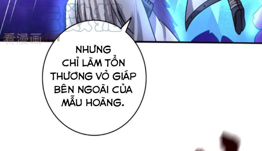 Siêu Cấp Thần Y Tại Đô Thị Chapter 235 - 21
