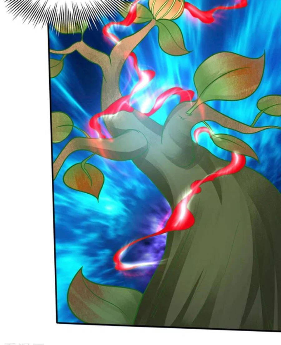 Siêu Cấp Thần Y Tại Đô Thị Chapter 237 - 42