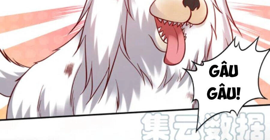 Siêu Cấp Thần Y Tại Đô Thị Chapter 244 - 4