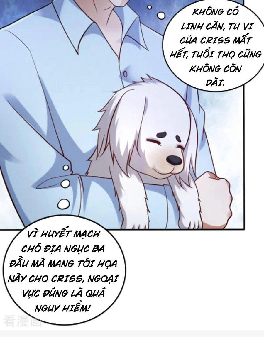 Siêu Cấp Thần Y Tại Đô Thị Chapter 244 - 12