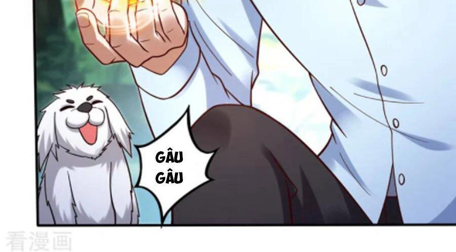 Siêu Cấp Thần Y Tại Đô Thị Chapter 246 - 17