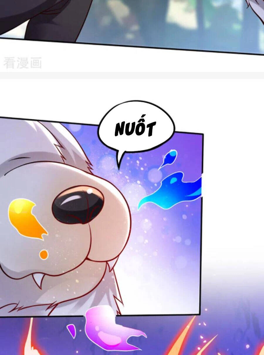 Siêu Cấp Thần Y Tại Đô Thị Chapter 246 - 19