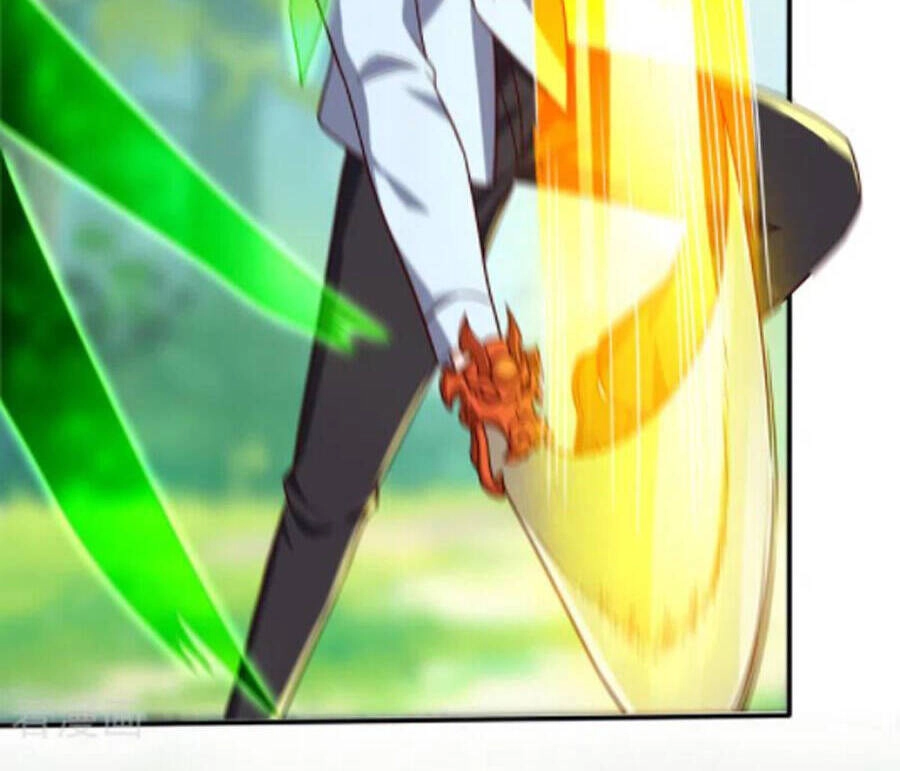 Siêu Cấp Thần Y Tại Đô Thị Chapter 248 - 25