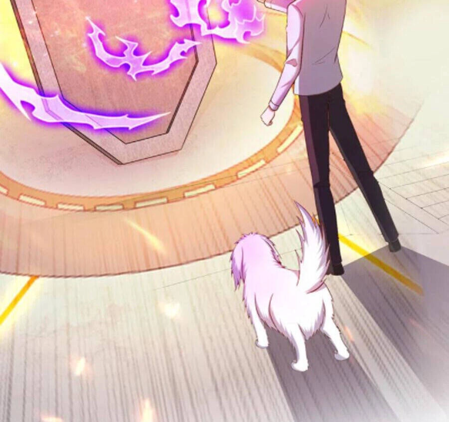 Siêu Cấp Thần Y Tại Đô Thị Chapter 249 - 18