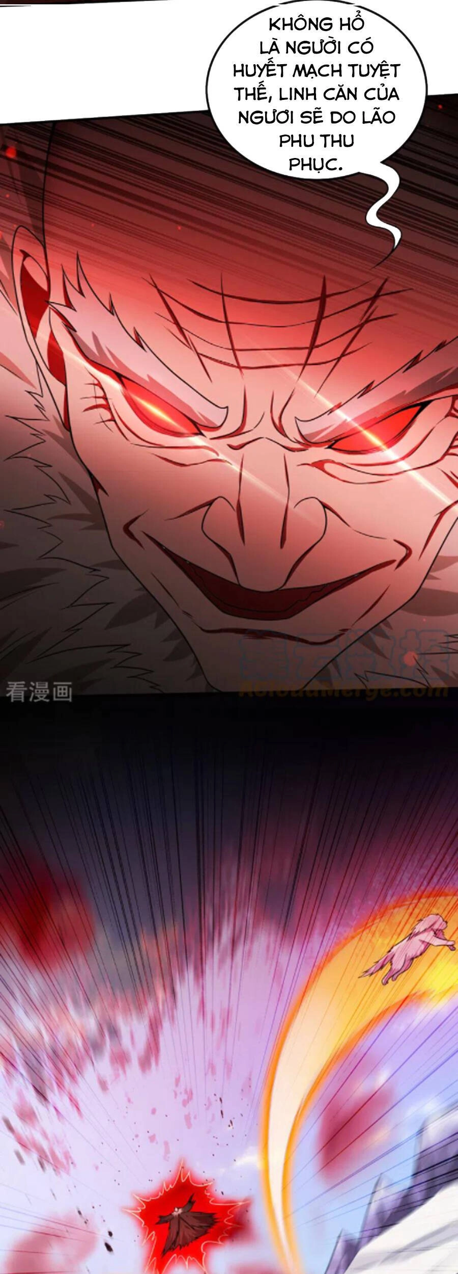 Siêu Cấp Thần Y Tại Đô Thị Chapter 251 - 16