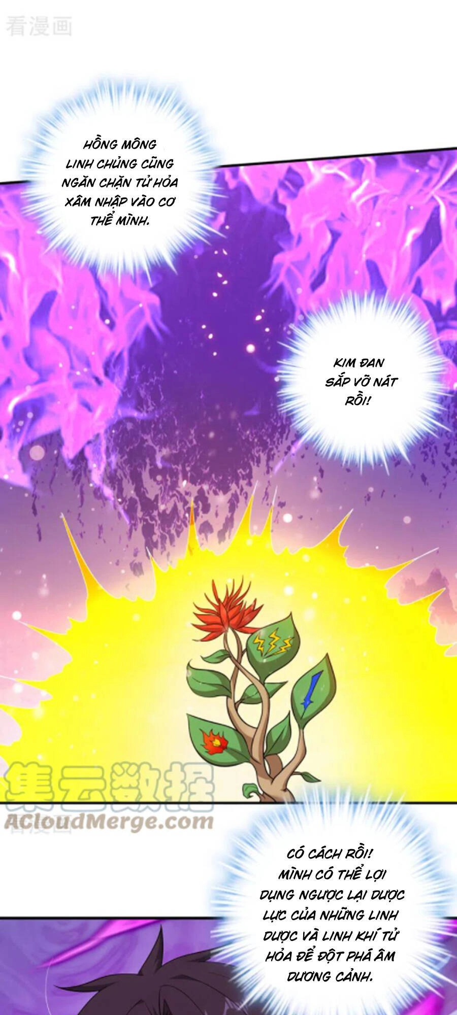 Siêu Cấp Thần Y Tại Đô Thị Chapter 252 - 26