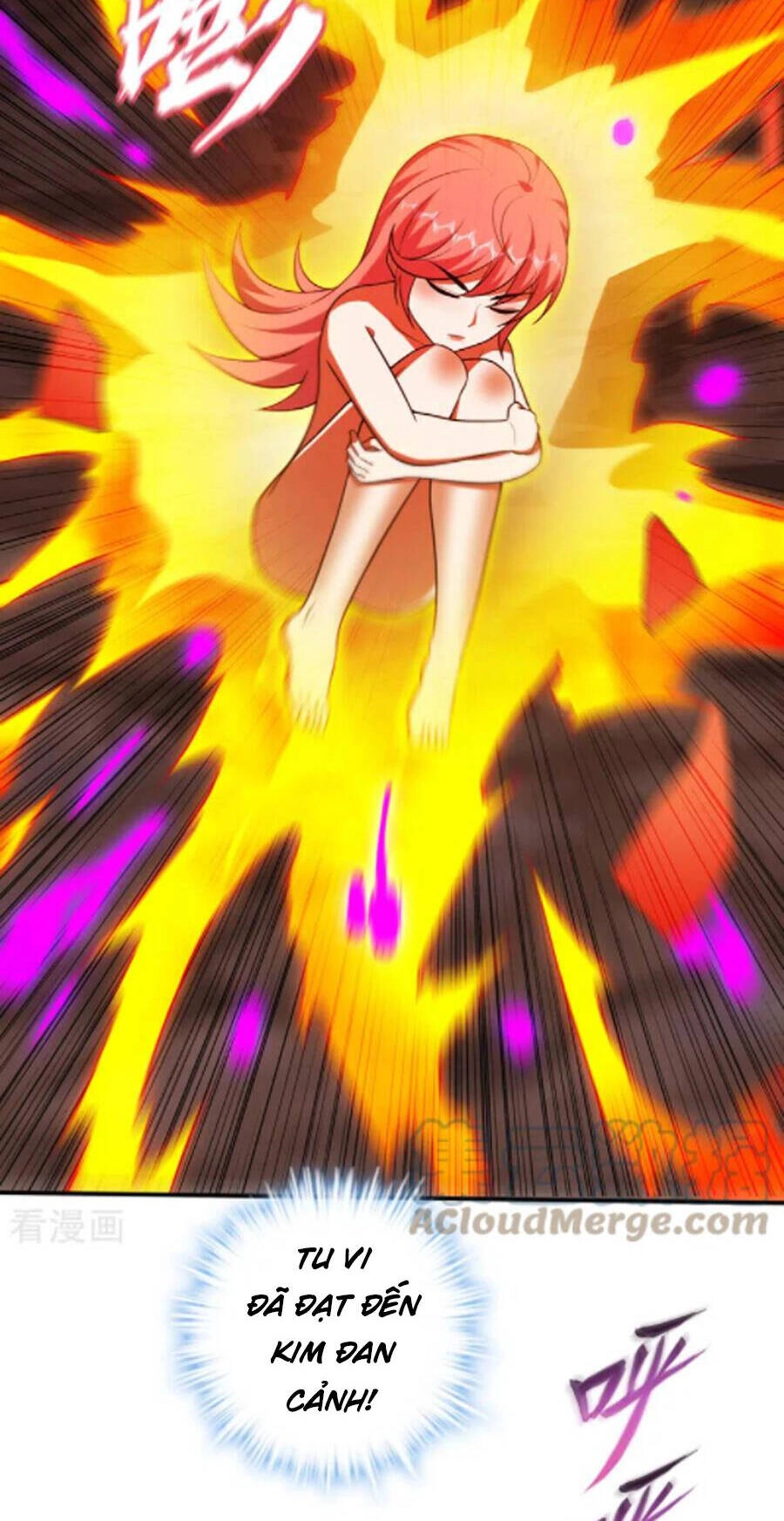 Siêu Cấp Thần Y Tại Đô Thị Chapter 253 - 17