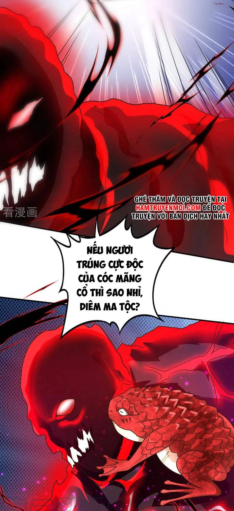 Siêu Cấp Thần Y Tại Đô Thị Chapter 265 - 15