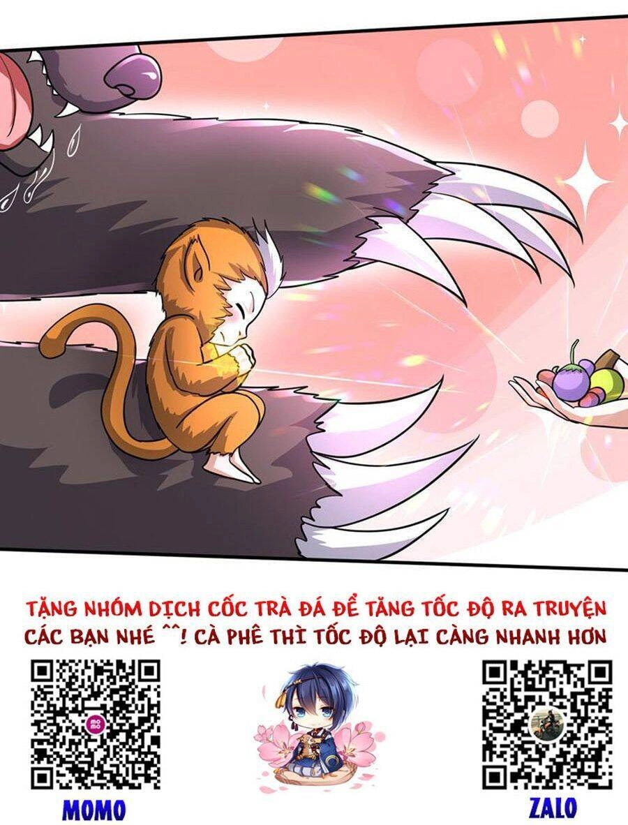 Siêu Cấp Thần Y Tại Đô Thị Chapter 268 - 40