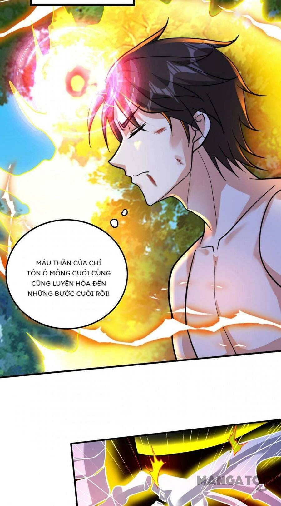 Siêu Cấp Thần Y Tại Đô Thị Chapter 270 - 14