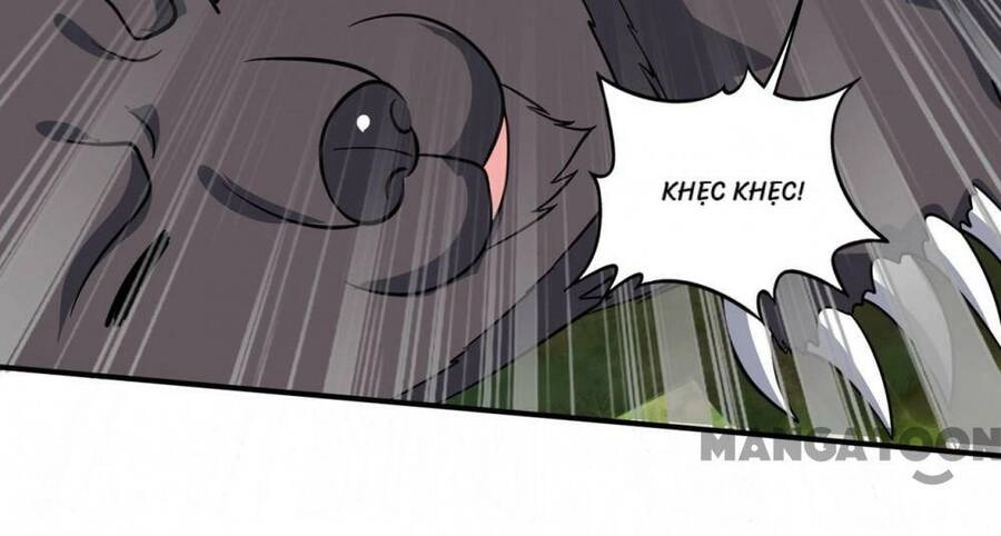 Siêu Cấp Thần Y Tại Đô Thị Chapter 270 - 43