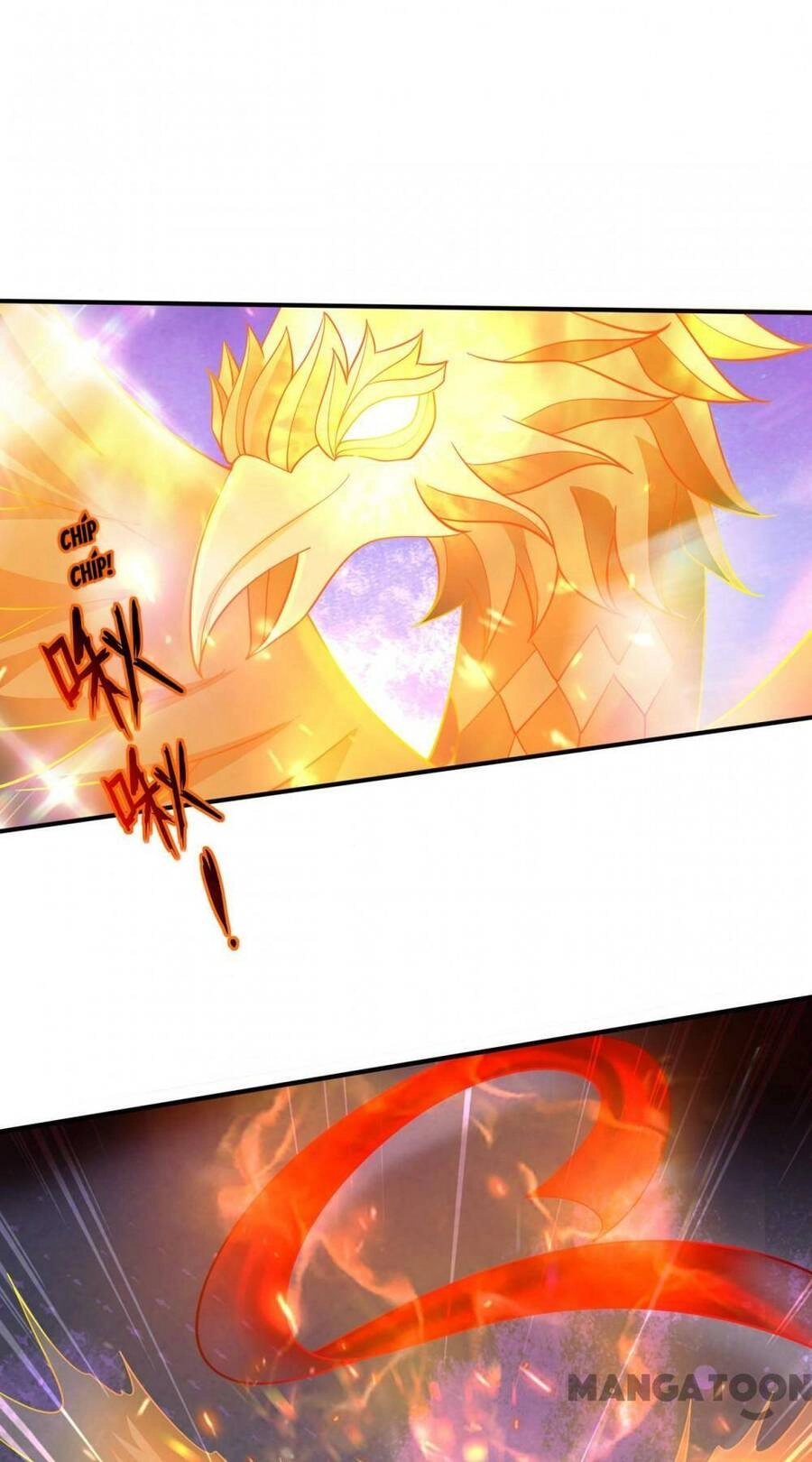 Siêu Cấp Thần Y Tại Đô Thị Chapter 273 - 12