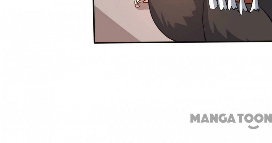 Siêu Cấp Thần Y Tại Đô Thị Chapter 278 - 17