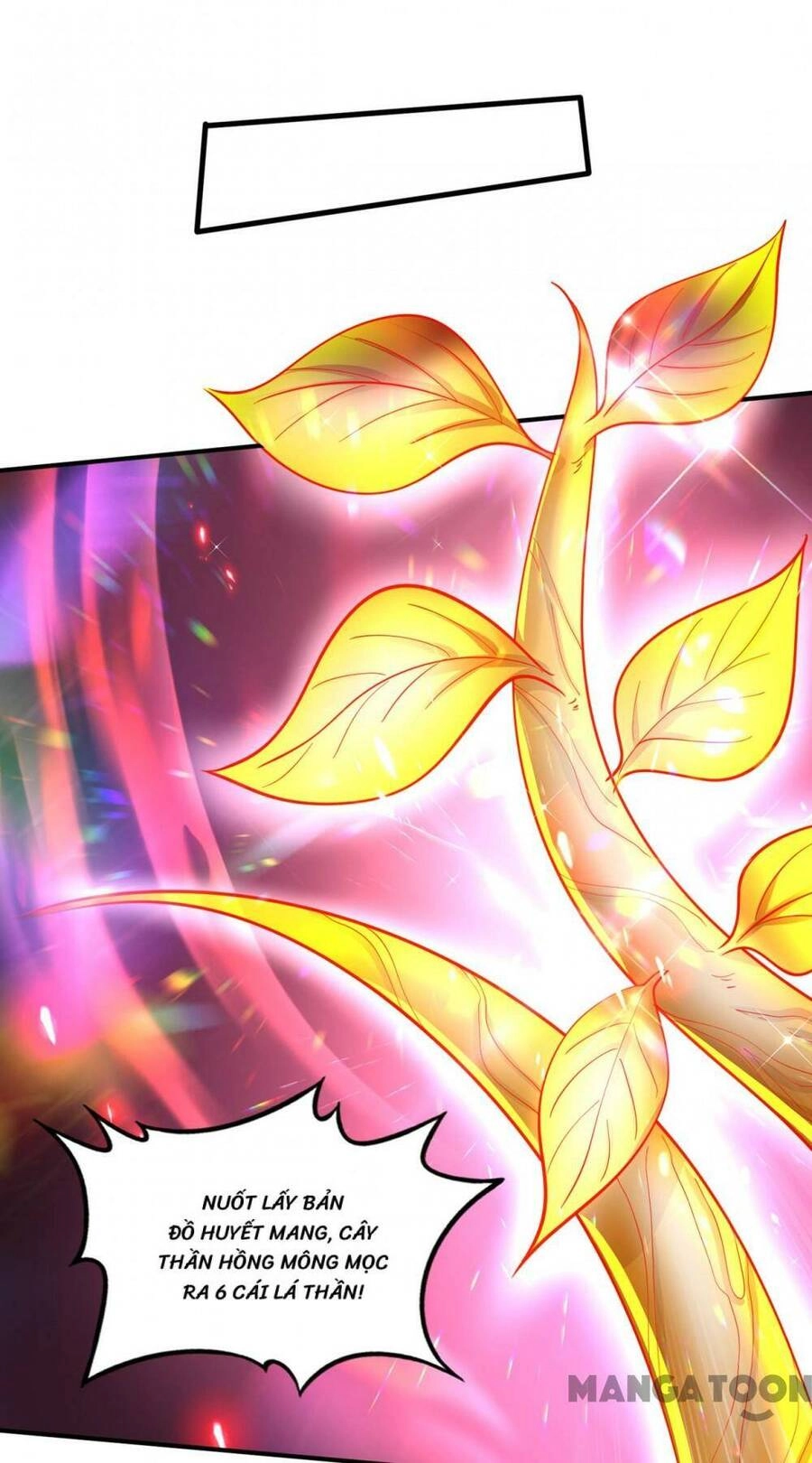 Siêu Cấp Thần Y Tại Đô Thị Chapter 309 - 9