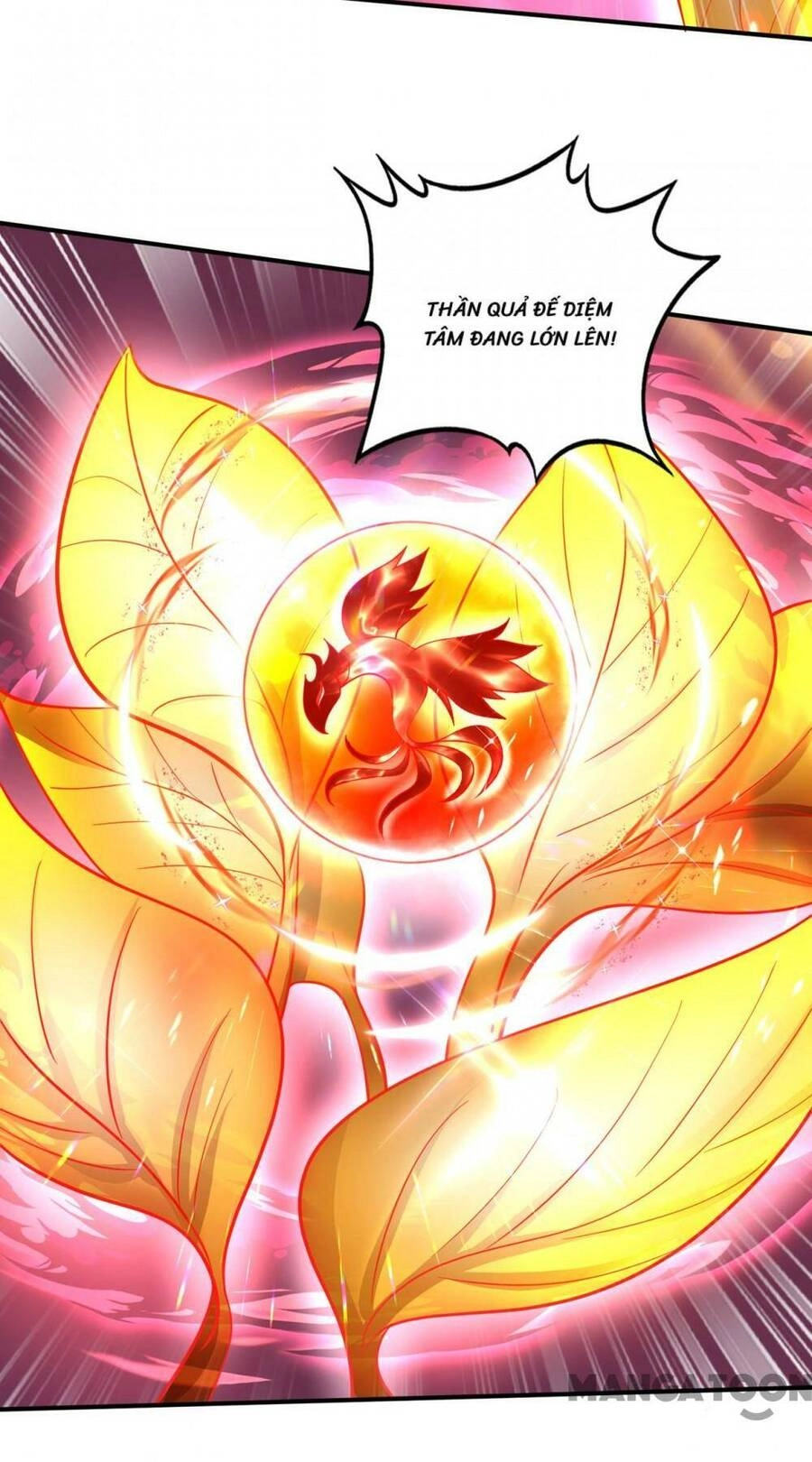 Siêu Cấp Thần Y Tại Đô Thị Chapter 309 - 10