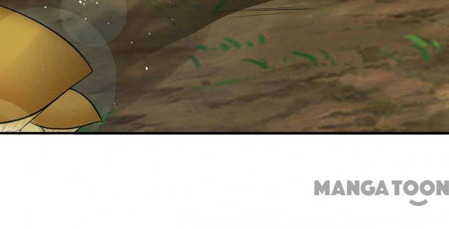 Siêu Cấp Thần Y Tại Đô Thị Chapter 328 - 16