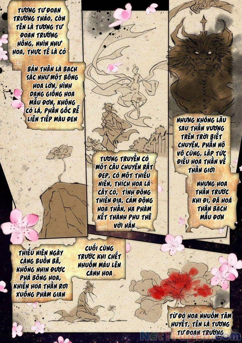 Đấu La Đại Lục 2 Chapter 270 - 4