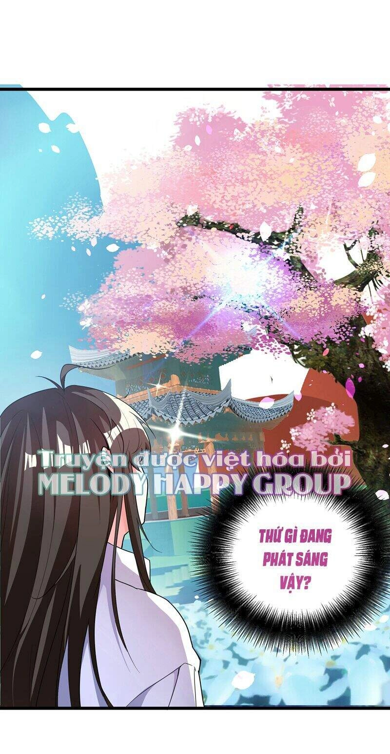 Trùng Sinh Không Gian: Cô Vợ Hào Môn Nóng Bỏng Không Dễ Chọc Chapter 3 - 6