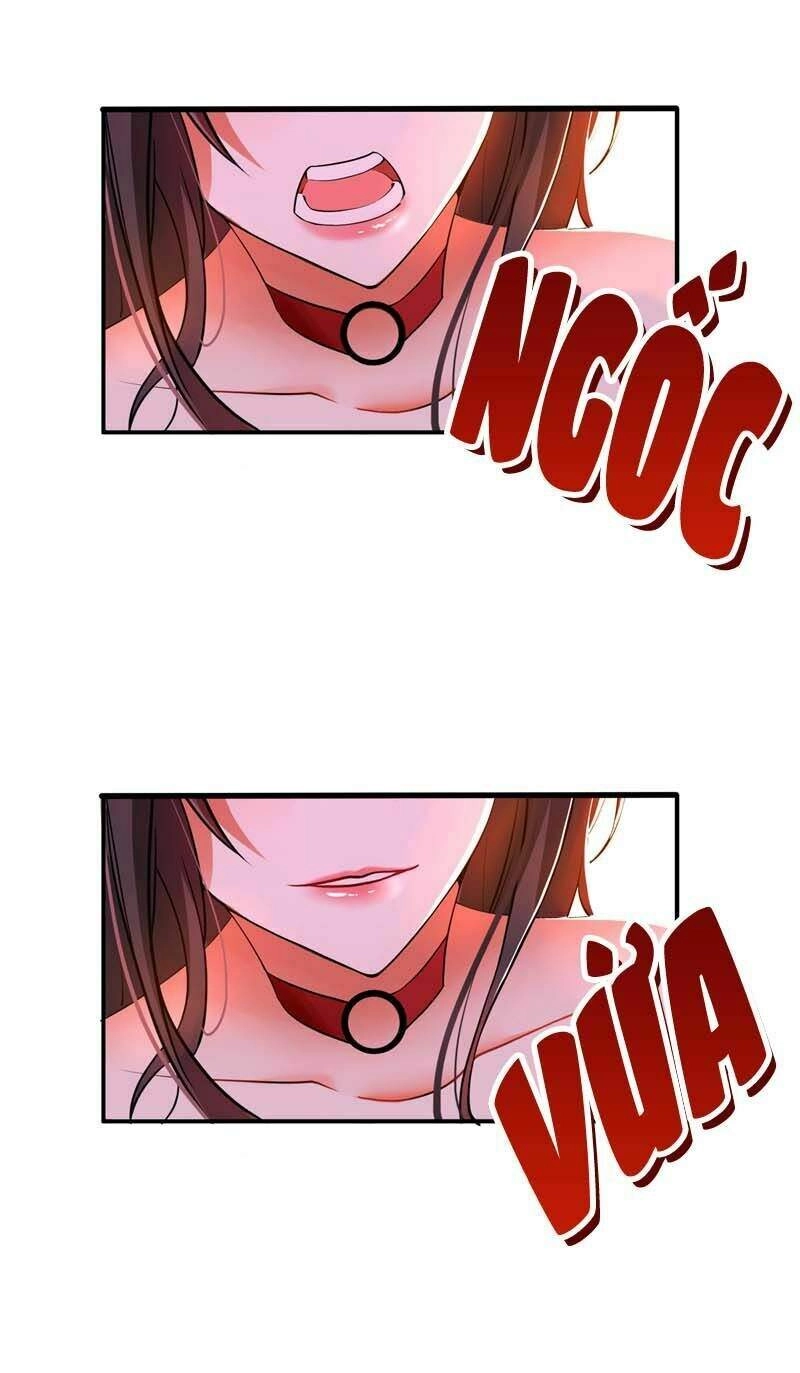 Trùng Sinh Không Gian: Cô Vợ Hào Môn Nóng Bỏng Không Dễ Chọc Chapter 6.5 - 13