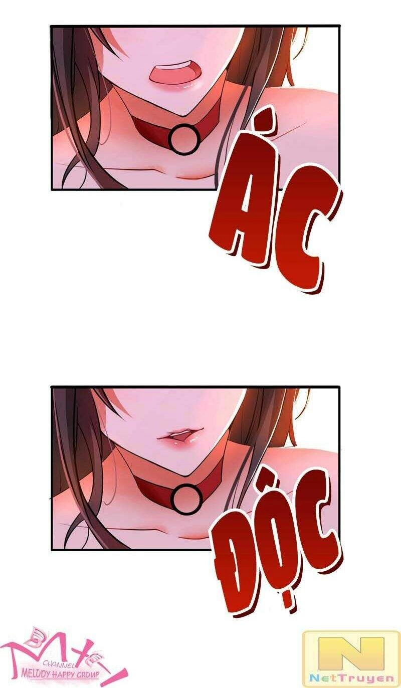 Trùng Sinh Không Gian: Cô Vợ Hào Môn Nóng Bỏng Không Dễ Chọc Chapter 6.5 - 14