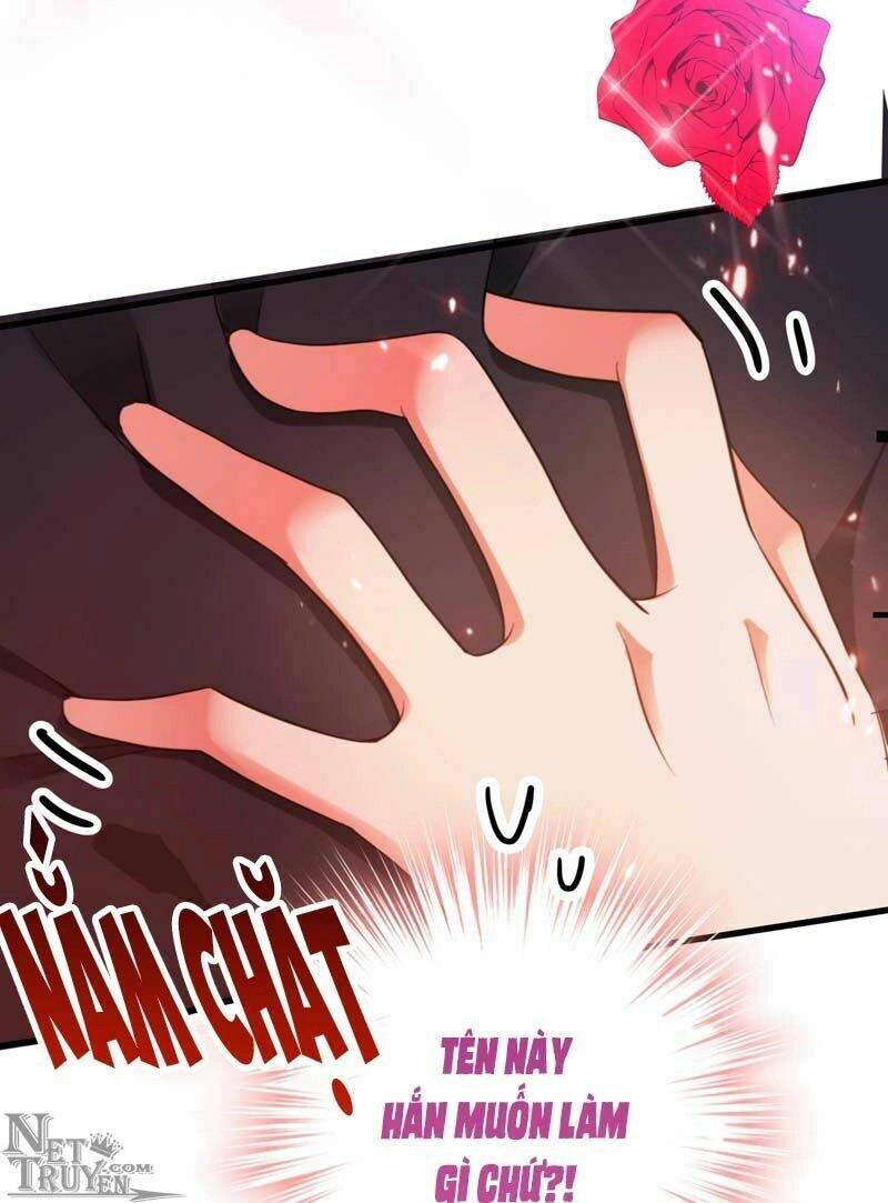 Trùng Sinh Không Gian: Cô Vợ Hào Môn Nóng Bỏng Không Dễ Chọc Chapter 8.5 - 15