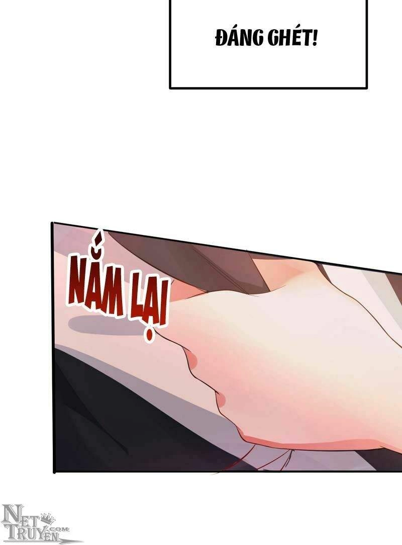 Trùng Sinh Không Gian: Cô Vợ Hào Môn Nóng Bỏng Không Dễ Chọc Chapter 8.5 - 19