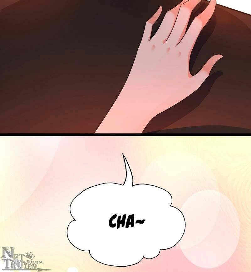 Trùng Sinh Không Gian: Cô Vợ Hào Môn Nóng Bỏng Không Dễ Chọc Chapter 9.5 - 27