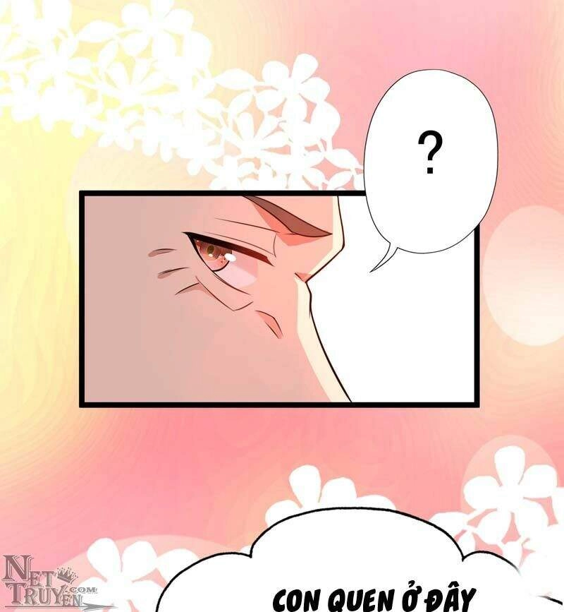 Trùng Sinh Không Gian: Cô Vợ Hào Môn Nóng Bỏng Không Dễ Chọc Chapter 9.5 - 28