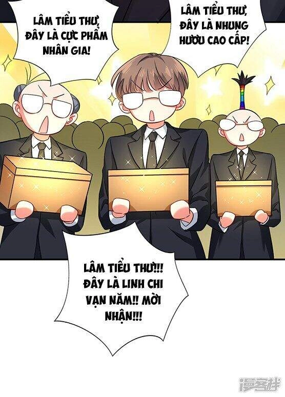 Trùng Sinh Không Gian: Cô Vợ Hào Môn Nóng Bỏng Không Dễ Chọc Chapter 14 - 11