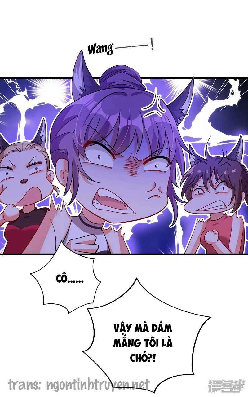 Trùng Sinh Không Gian: Cô Vợ Hào Môn Nóng Bỏng Không Dễ Chọc Chapter 15 - 4