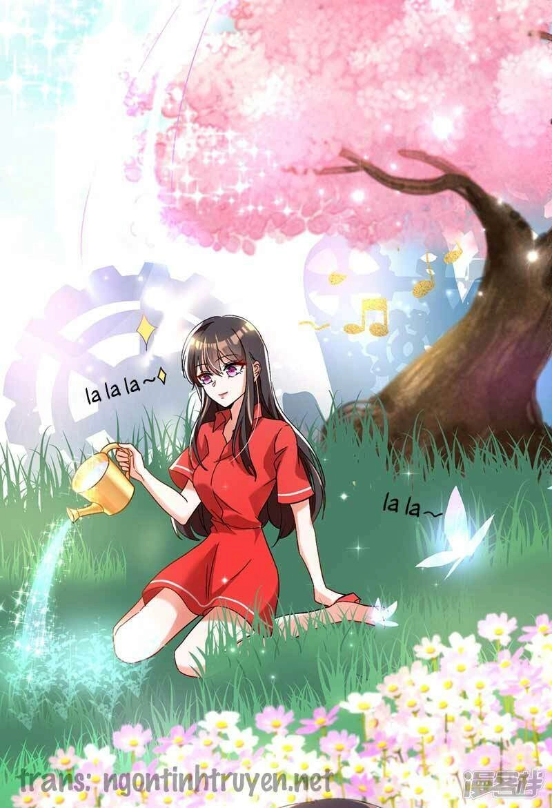 Trùng Sinh Không Gian: Cô Vợ Hào Môn Nóng Bỏng Không Dễ Chọc Chapter 22 - 4