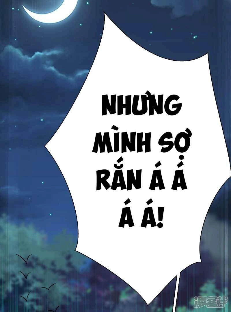 Trùng Sinh Không Gian: Cô Vợ Hào Môn Nóng Bỏng Không Dễ Chọc Chapter 25 - 34