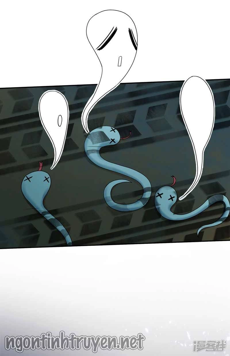 Trùng Sinh Không Gian: Cô Vợ Hào Môn Nóng Bỏng Không Dễ Chọc Chapter 26 - 36