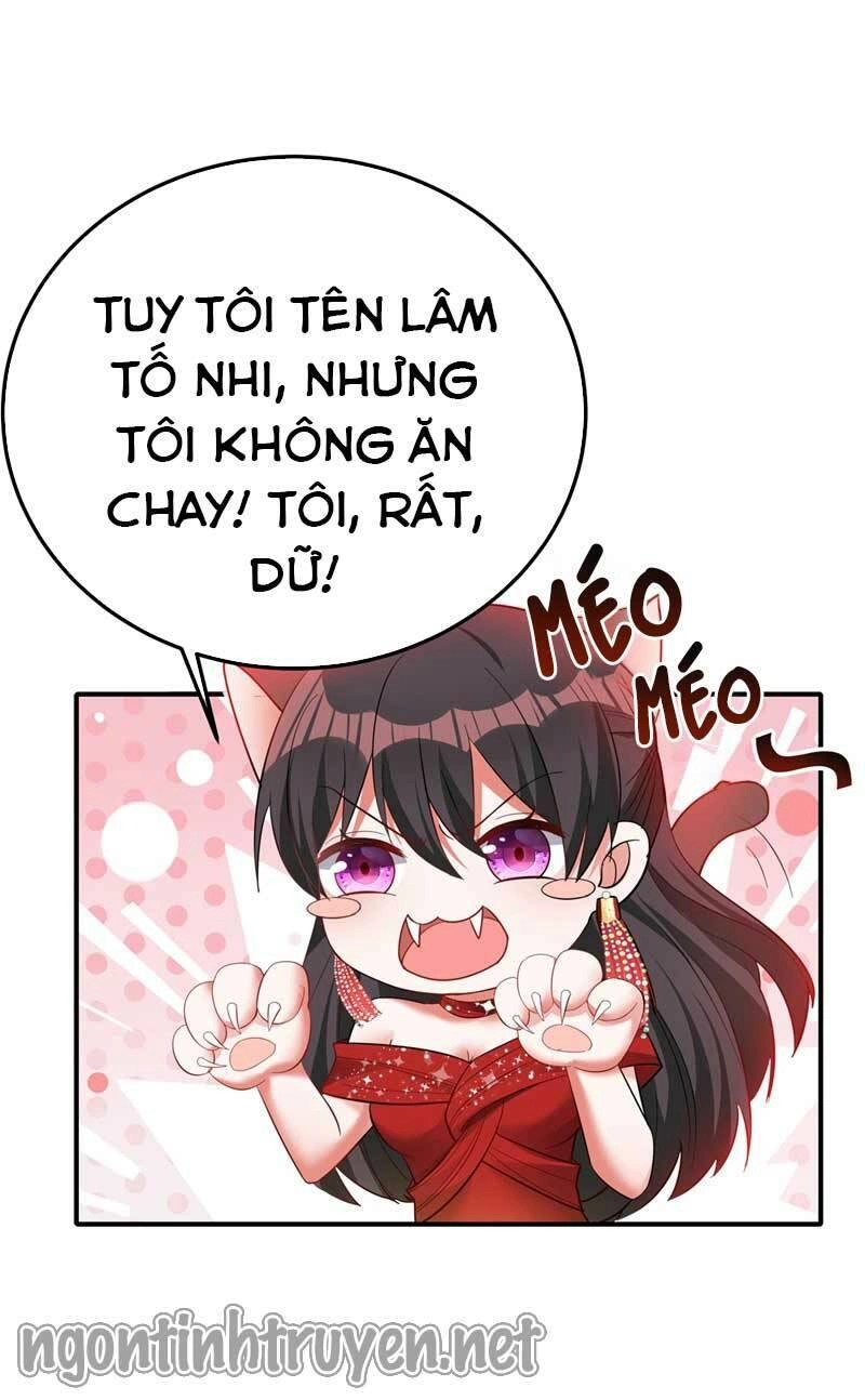 Trùng Sinh Không Gian: Cô Vợ Hào Môn Nóng Bỏng Không Dễ Chọc Chapter 29 - 19