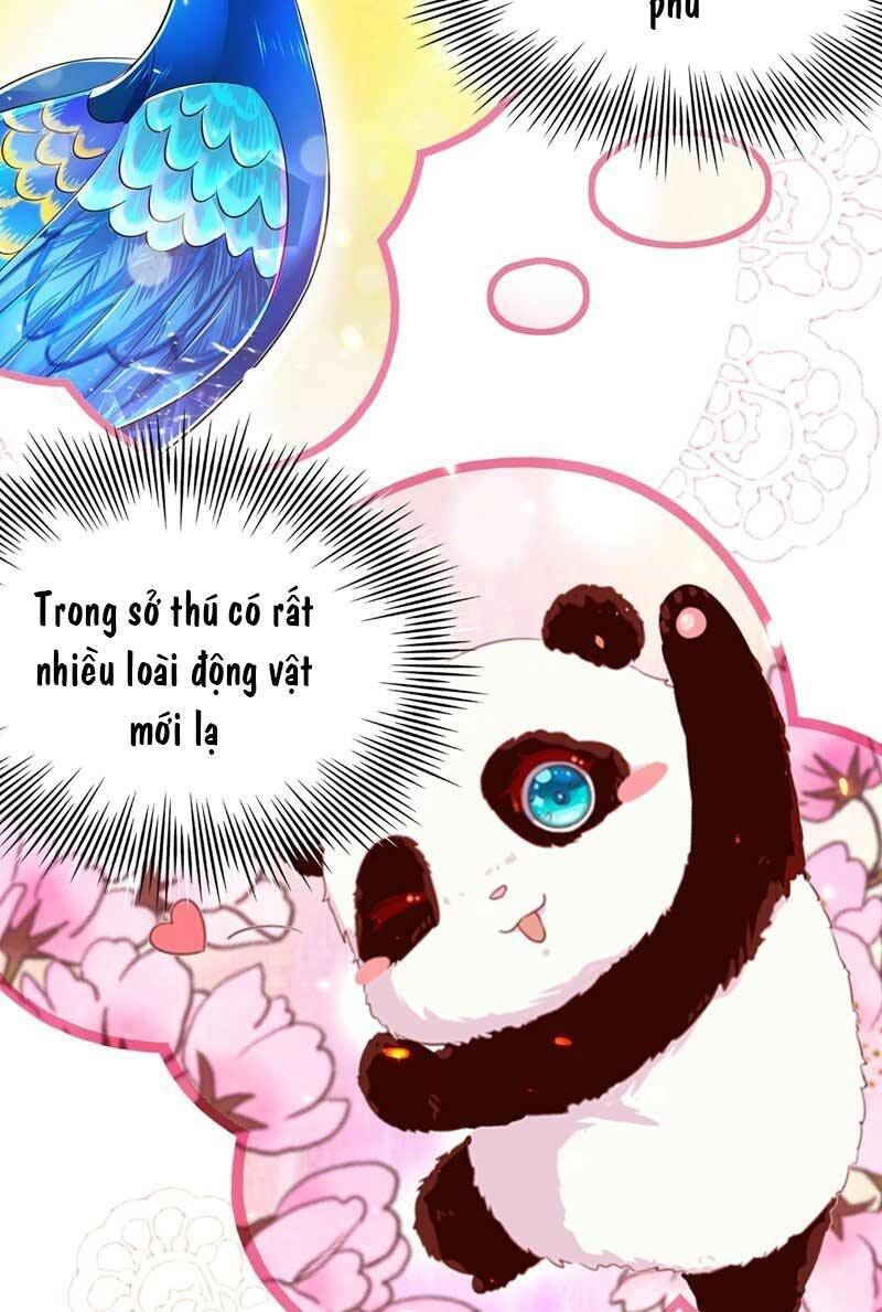 Trùng Sinh Không Gian: Cô Vợ Hào Môn Nóng Bỏng Không Dễ Chọc Chapter 54 - 42