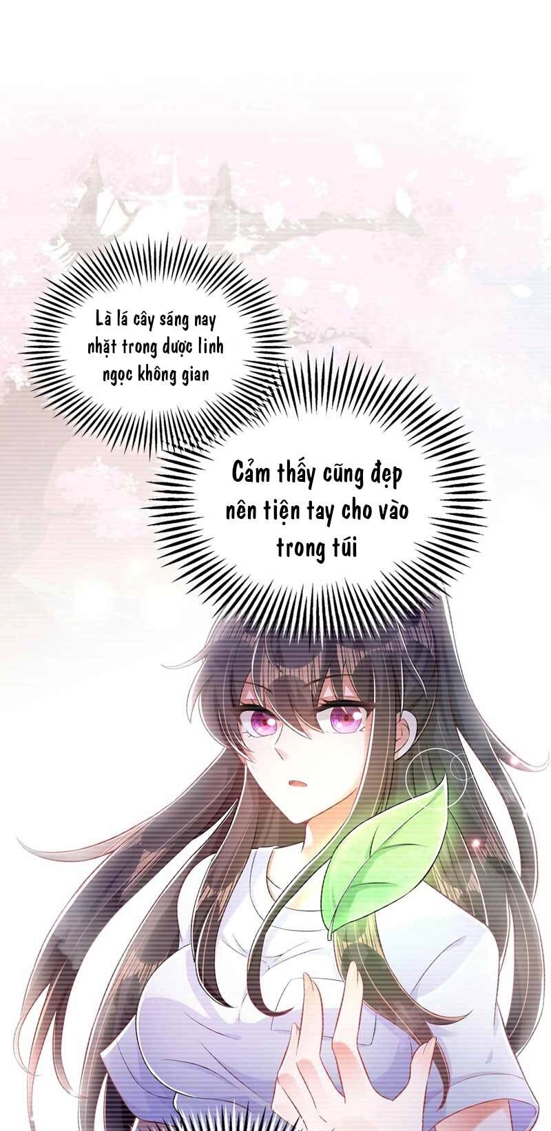 Trùng Sinh Không Gian: Cô Vợ Hào Môn Nóng Bỏng Không Dễ Chọc Chapter 57 - 16