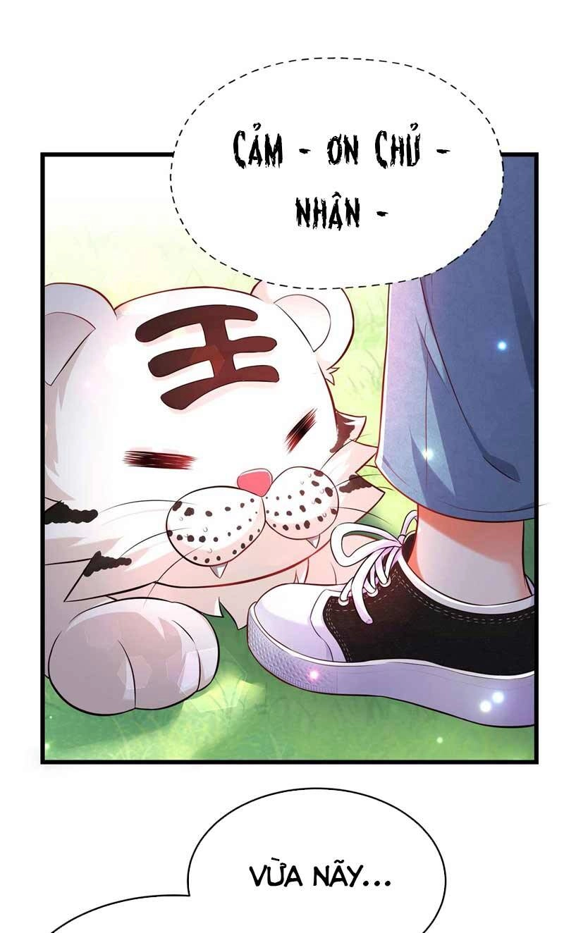 Trùng Sinh Không Gian: Cô Vợ Hào Môn Nóng Bỏng Không Dễ Chọc Chapter 57 - 24