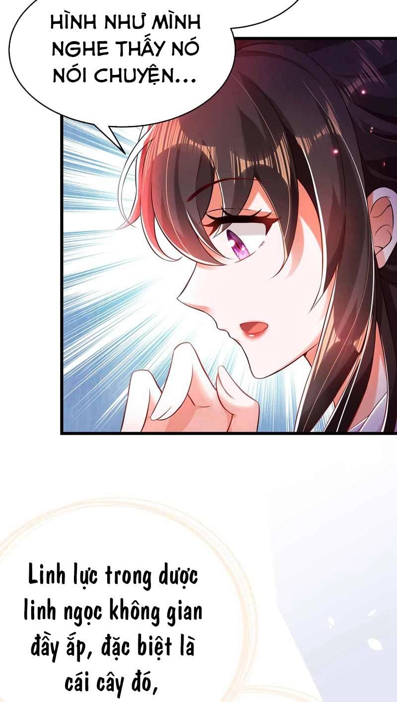 Trùng Sinh Không Gian: Cô Vợ Hào Môn Nóng Bỏng Không Dễ Chọc Chapter 57 - 25