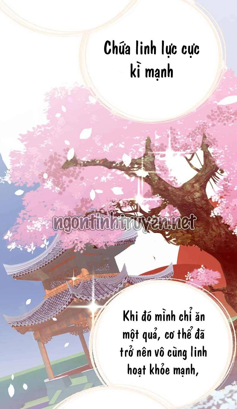 Trùng Sinh Không Gian: Cô Vợ Hào Môn Nóng Bỏng Không Dễ Chọc Chapter 57 - 26