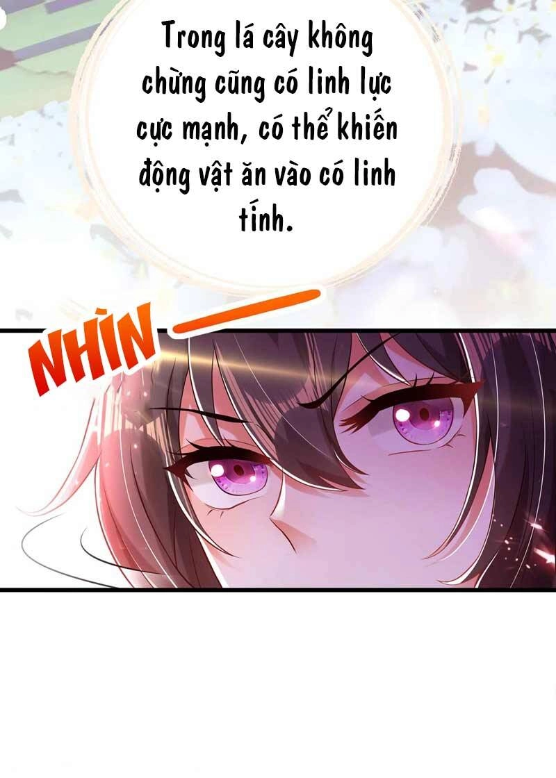 Trùng Sinh Không Gian: Cô Vợ Hào Môn Nóng Bỏng Không Dễ Chọc Chapter 57 - 27