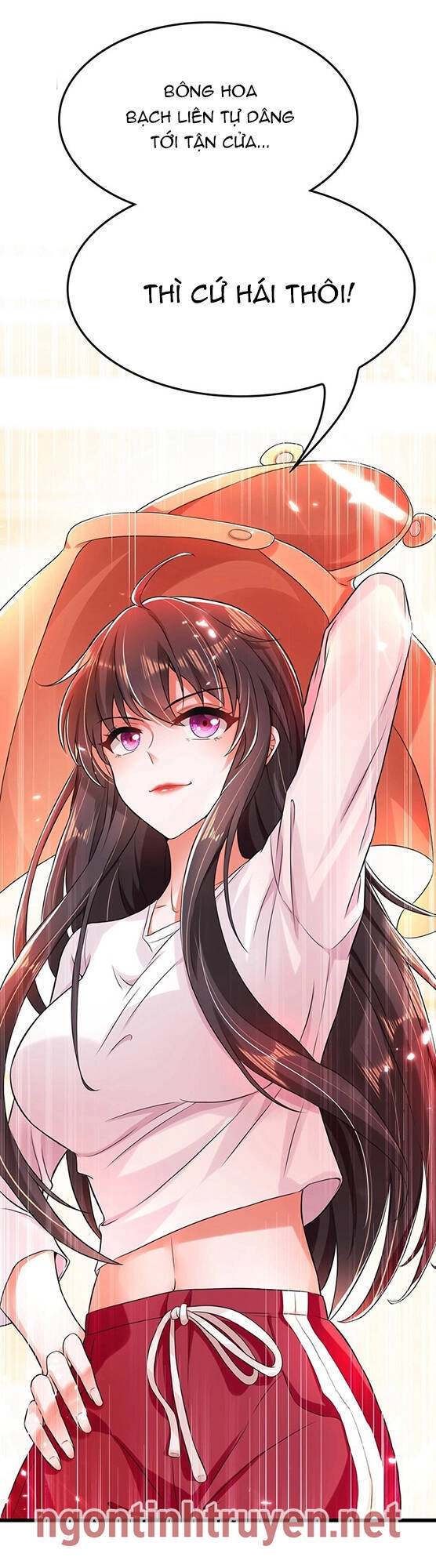 Trùng Sinh Không Gian: Cô Vợ Hào Môn Nóng Bỏng Không Dễ Chọc Chapter 60 - 40