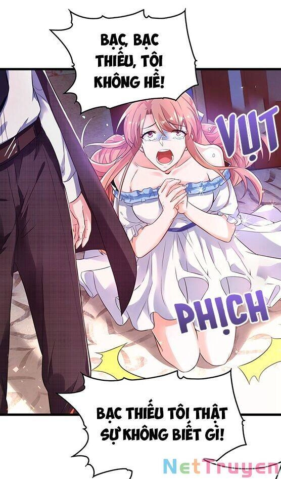 Trùng Sinh Không Gian: Cô Vợ Hào Môn Nóng Bỏng Không Dễ Chọc Chapter 62 - 23