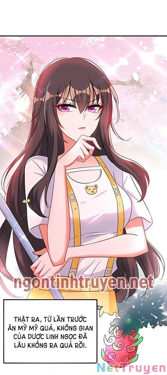 Trùng Sinh Không Gian: Cô Vợ Hào Môn Nóng Bỏng Không Dễ Chọc Chapter 64 - 35