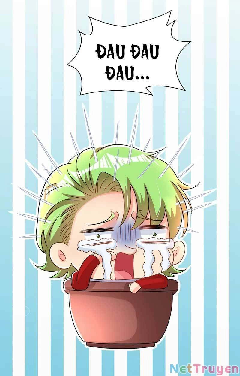 Trùng Sinh Không Gian: Cô Vợ Hào Môn Nóng Bỏng Không Dễ Chọc Chapter 70 - 13