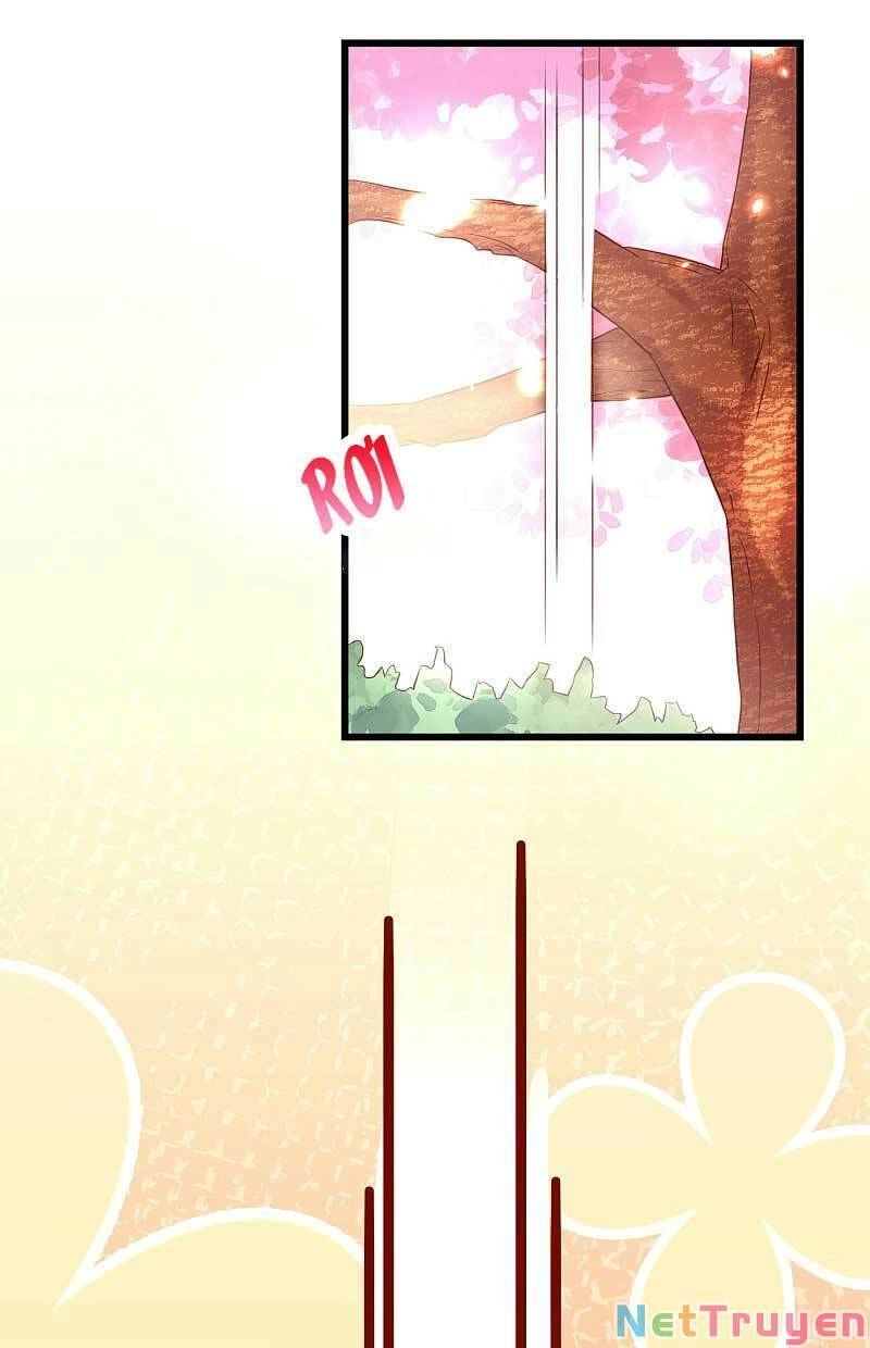 Trùng Sinh Không Gian: Cô Vợ Hào Môn Nóng Bỏng Không Dễ Chọc Chapter 109 - 6