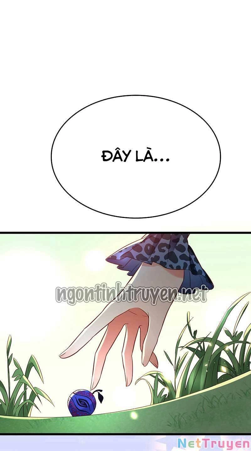 Trùng Sinh Không Gian: Cô Vợ Hào Môn Nóng Bỏng Không Dễ Chọc Chapter 109 - 8