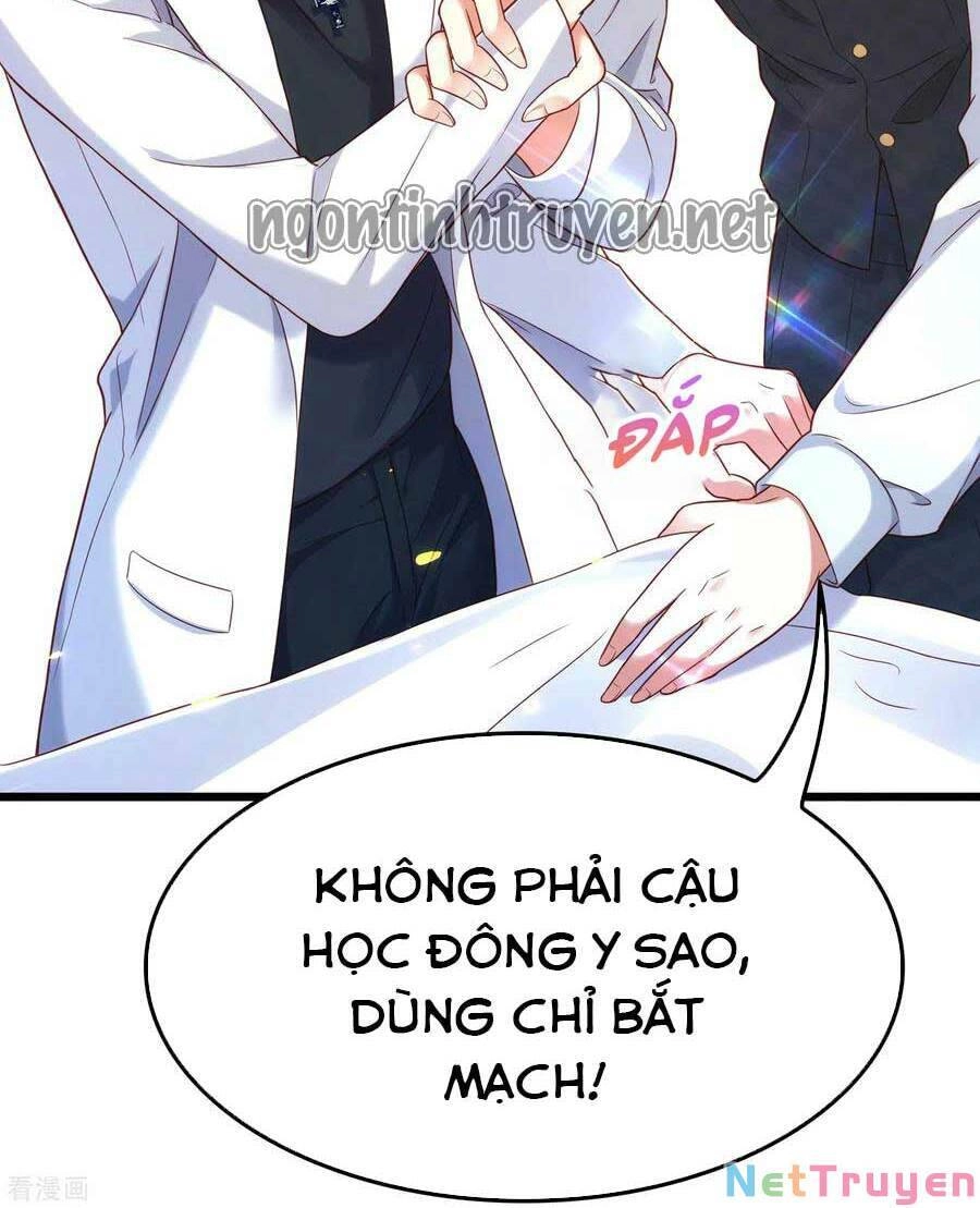 Trùng Sinh Không Gian: Cô Vợ Hào Môn Nóng Bỏng Không Dễ Chọc Chapter 120 - 9